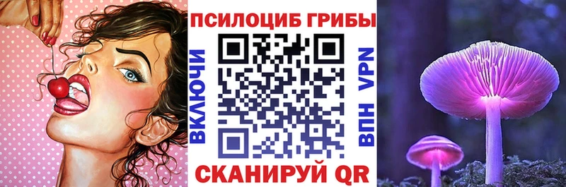наркотики  Омск  ссылка на мегу ССЫЛКА  Галлюциногенные грибы GOLDEN TEACHER 